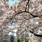 Residenz Stadslogement